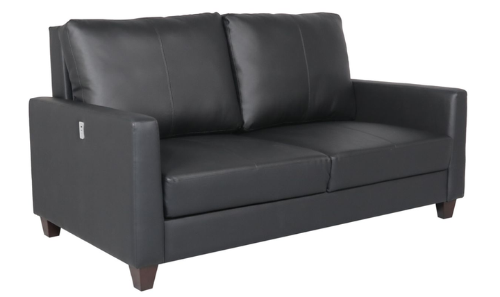 Cuddle Queen Leather Sleeper Sofa With Wood and Chrome Legs