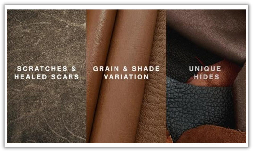 Emilia 5-Piece Leather Sectional with Removable Cushions