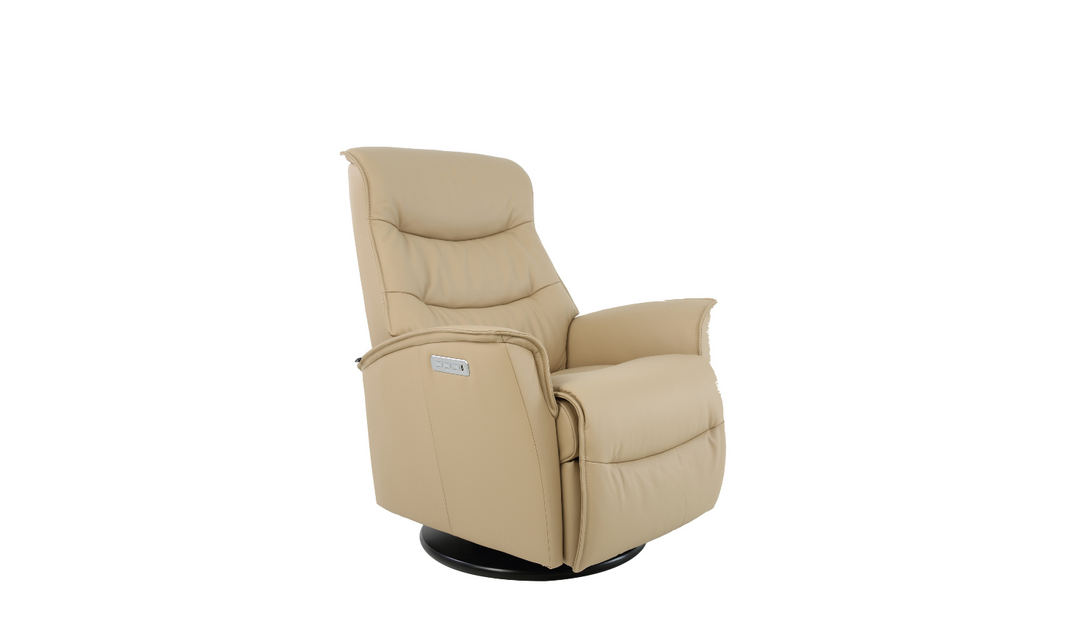 Fjord Dallas Power Recliner Chair With Lumbar Support