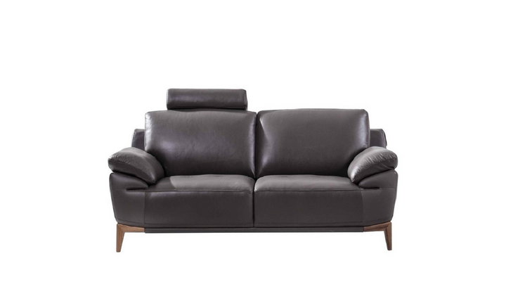 Galina Leather Upholstered Loveseat with Adjustable Headrests