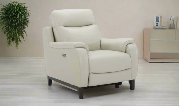 Gio Italia Leonard Dual Power Leather Recliner Chair in Gray