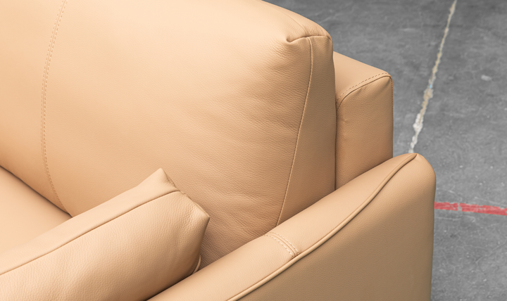 Jennifer Smart 2-Seater Leather Queen Sleeper Sofa