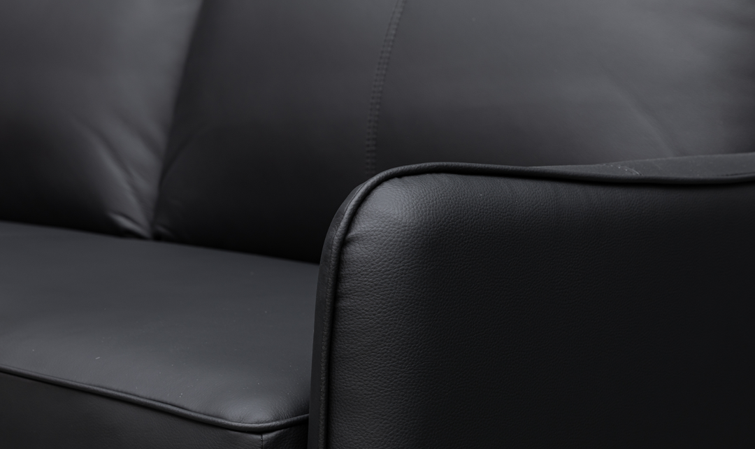 Jennifer Smart 2-Seater Leather Queen Sleeper Sofa
