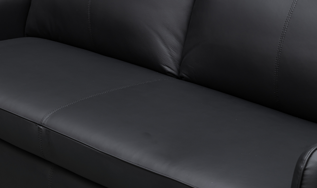 Jennifer Smart 2-Seater Leather Queen Sleeper Sofa