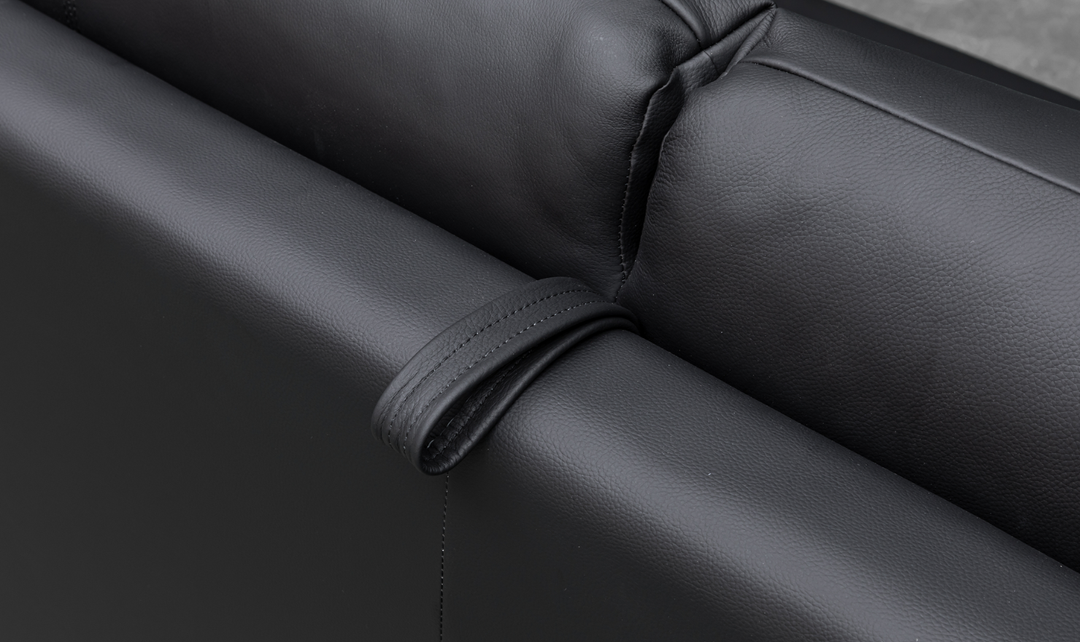 Jennifer Smart 2-Seater Leather Queen Sleeper Sofa
