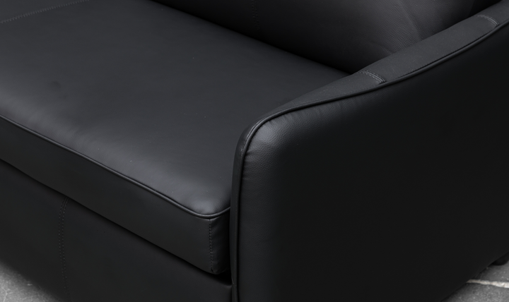 Jennifer Smart 2-Seater Leather Queen Sleeper Sofa
