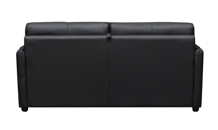 Jennifer Smart 2-Seater Leather Queen Sleeper Sofa