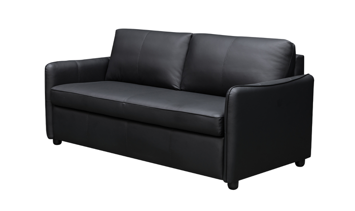 Jennifer Smart 2-Seater Leather Queen Sleeper Sofa