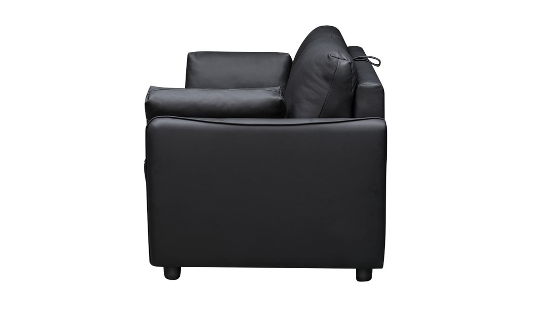 Jennifer Smart 2-Seater Leather Queen Sleeper Sofa