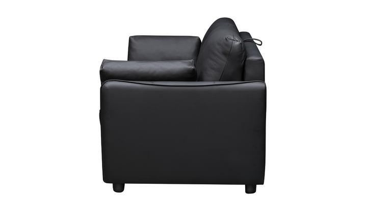 Jennifer Smart 2-Seater Leather Queen Sleeper Sofa