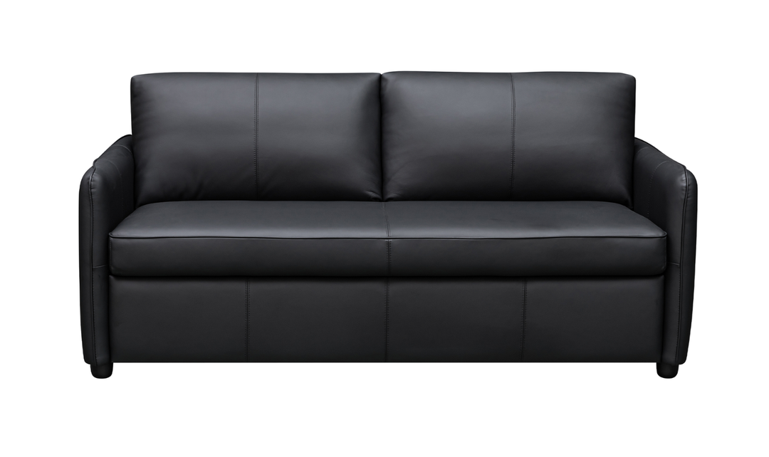Jennifer Smart 2-Seater Leather Queen Sleeper Sofa