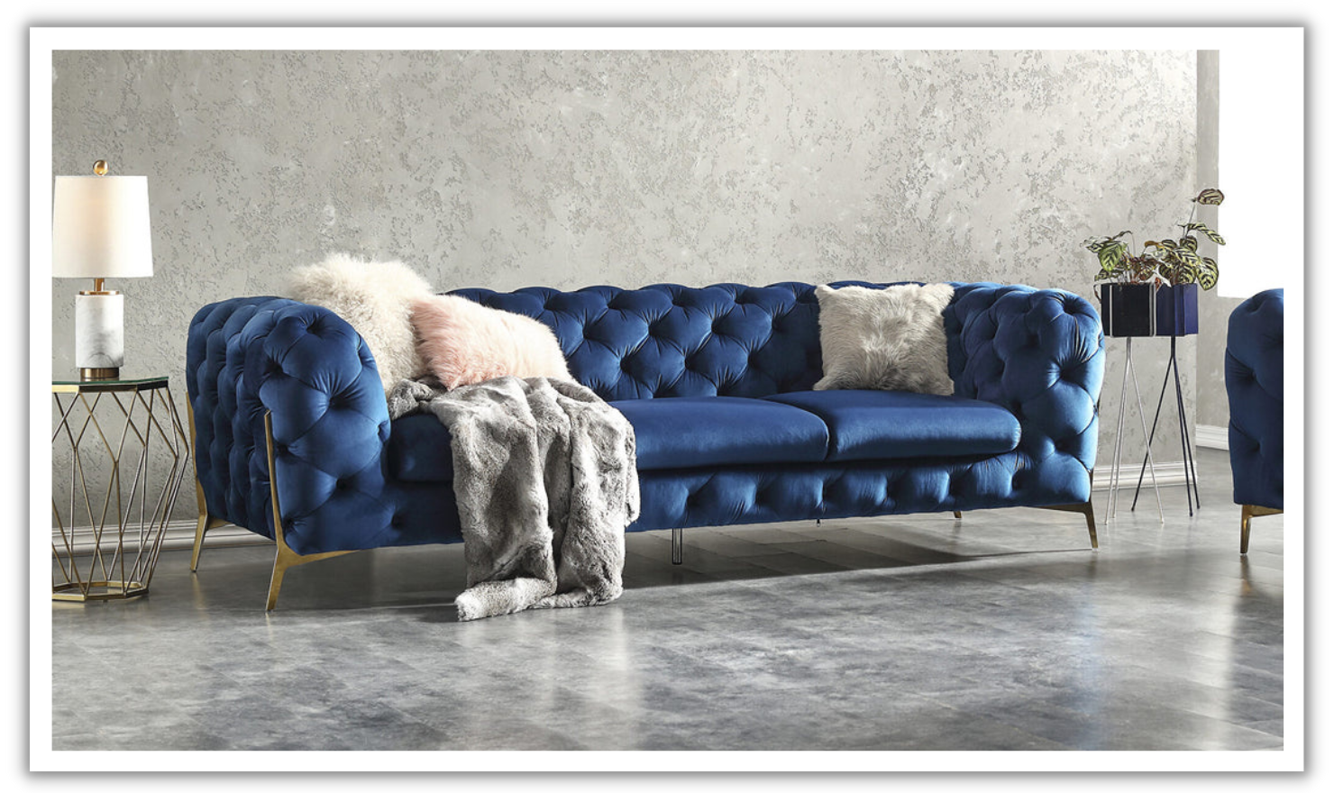 Buy Jennifer Italia Belgian 3-Seater Velour Fabric Tufted Sofa in