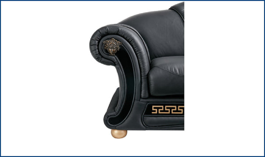 Apolo Loveseat-Loveseats-Jennifer Furniture