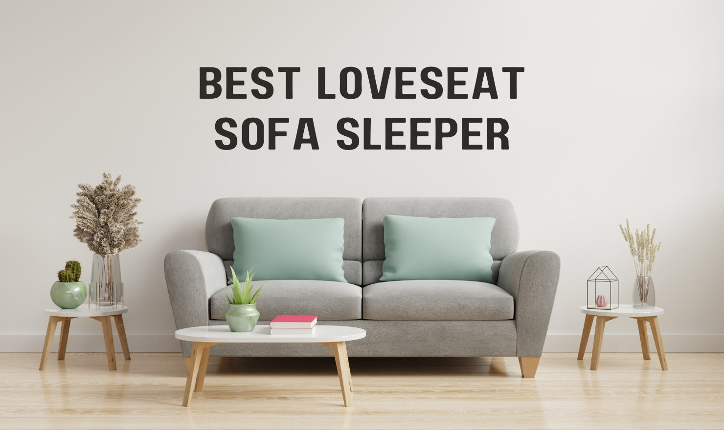 Best Loveseat Sofa Sleeper - Top Selling Products 2026