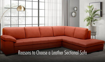 Reasons To Choose A Leather Sectional Sofa
