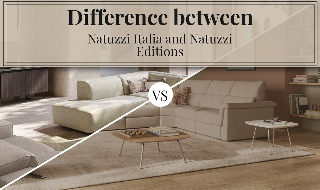 Difference Between Natuzzi Italia And Natuzzi Editions