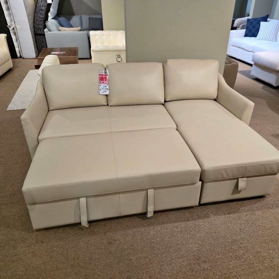2pc Sofa Chaise Sleeper