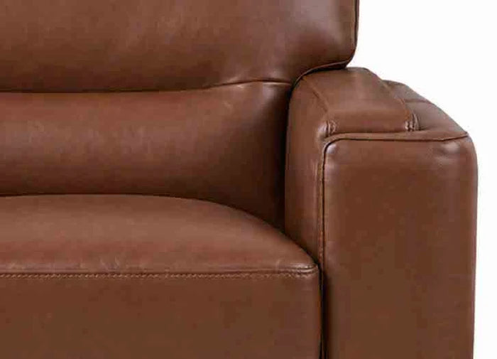 Hydeline Elm Leather Chair With Zip Cover