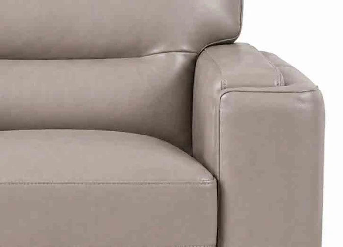 Hydeline Elm Leather Chair With Zip Cover