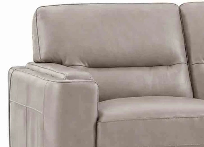 Hydeline Elm Leather Chair With Zip Cover