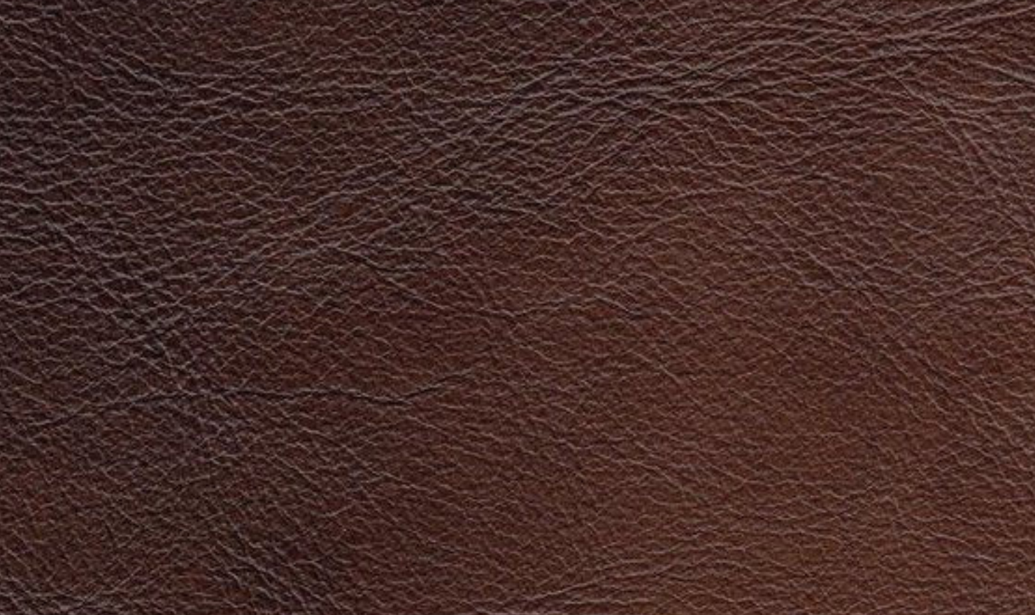 Alton Bay Leather Chair With Box Cushions-Jennifer Furniture 