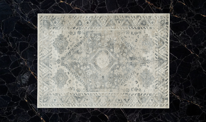 Modern Heritage Precia Traditional Large Rug in Gray and Cream