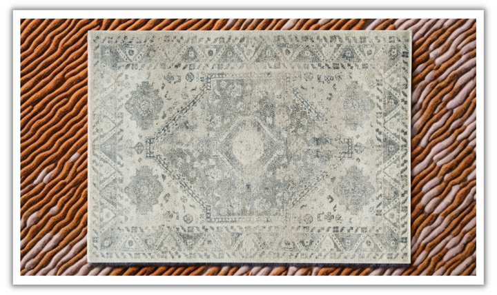 Modern Heritage Precia Traditional Large Rug in Gray and Cream