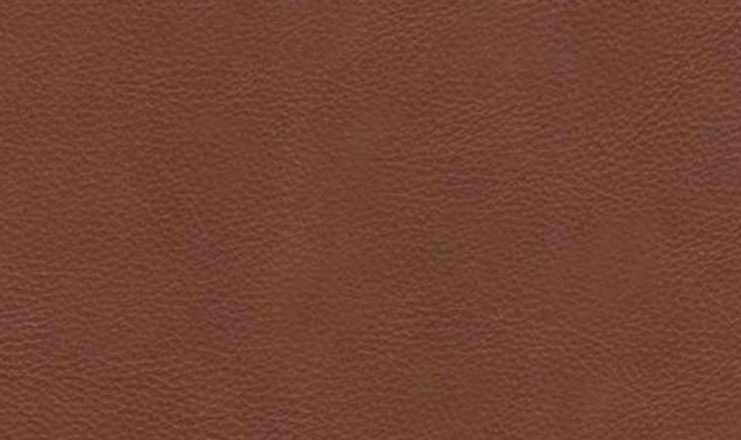 Hydeline Camano Leather Living Room Set 