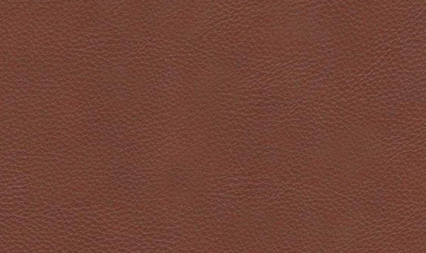 Dillon U-Shape Leather Sectional Sofa in Nutmeg Brown