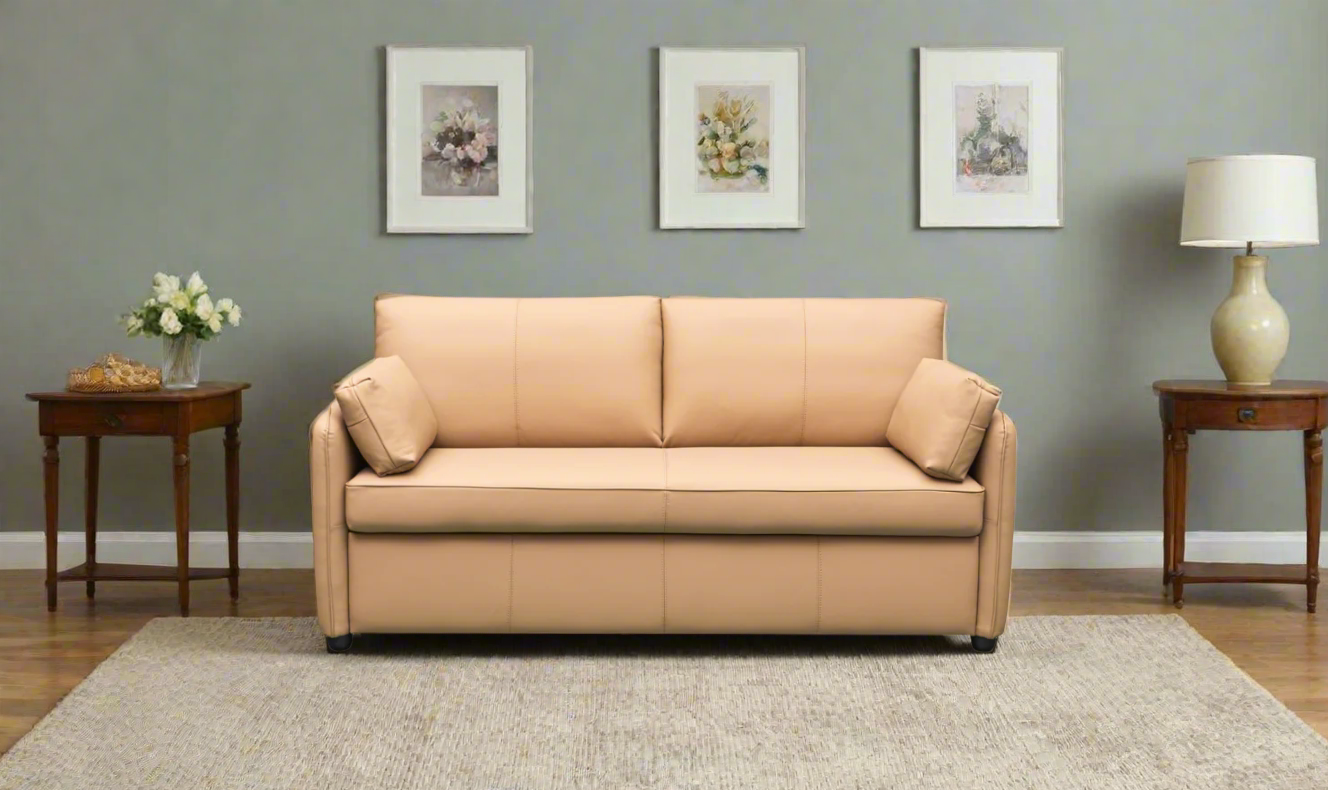 Jennifer Smart 2-Seater Leather Queen Sleeper Sofa