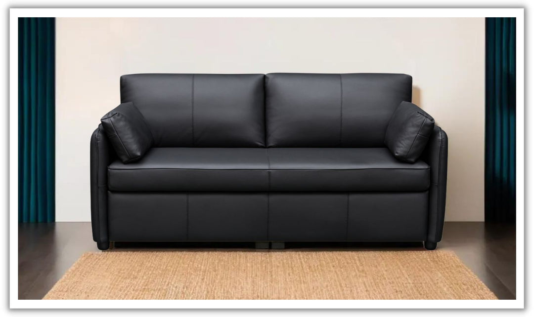 Jennifer Smart 2-Seater Leather Queen Sleeper Sofa