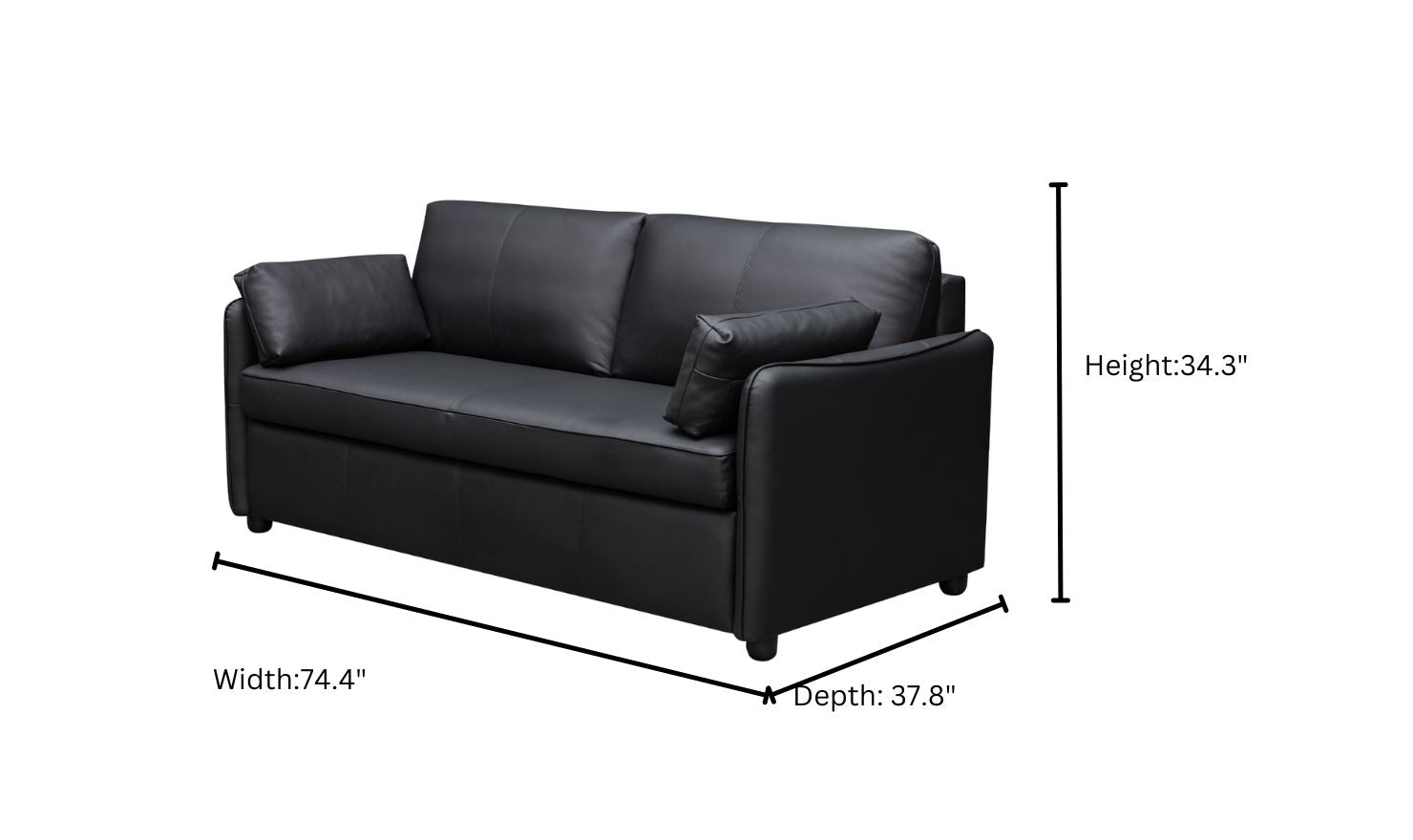 Jennifer Smart 2-Seater Leather Queen Sleeper Sofa