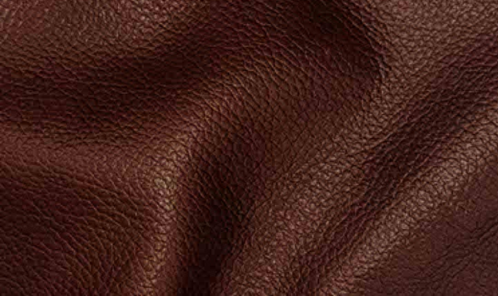 Hydeline Dawn Leather Upholstered Chair With Zip Cover