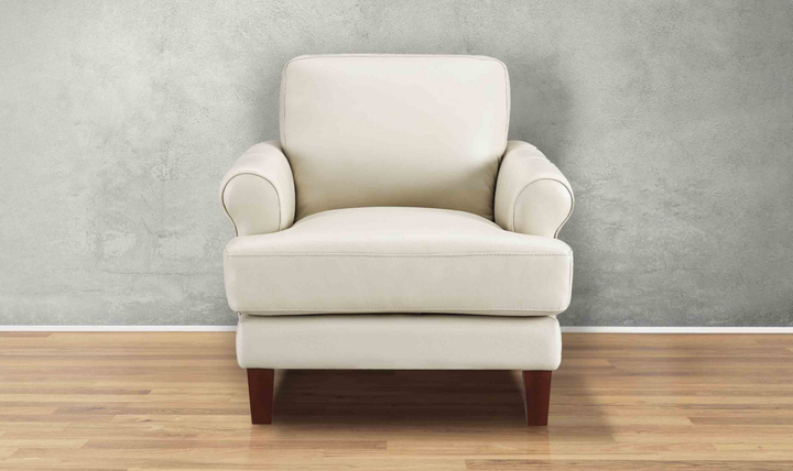 Hydeline Dawn Leather Upholstered Chair With Zip Cover - Jennifer Furniture