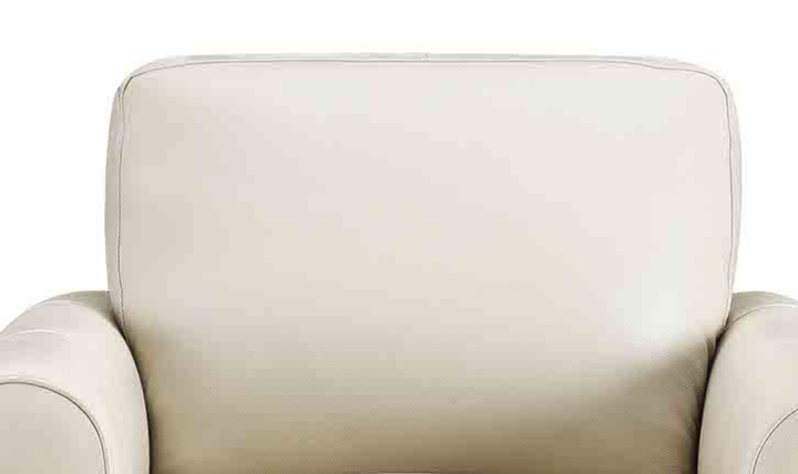 Hydeline Dawn Leather Upholstered Chair With Zip Cover
