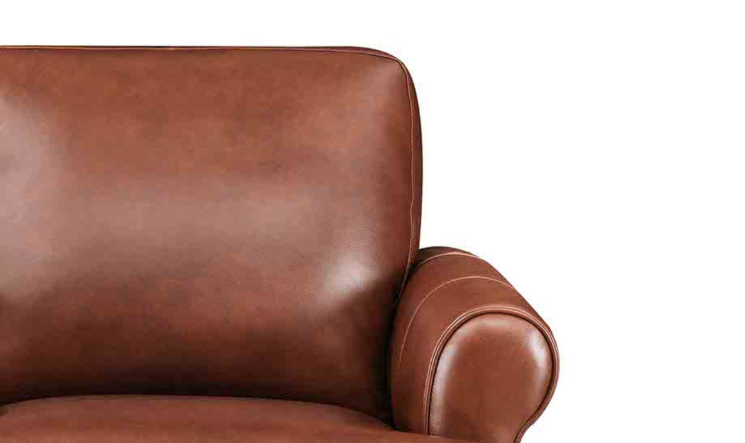 Hydeline Dawn Leather Upholstered Chair With Zip Cover