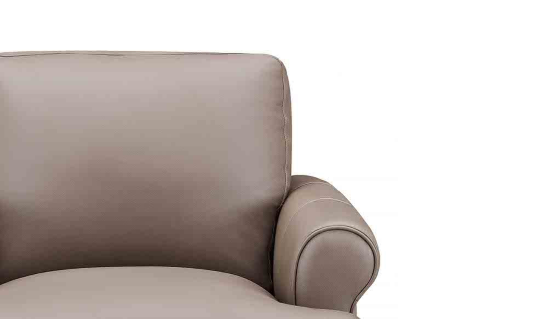 Hydeline Dawn Leather Upholstered Chair With Zip Cover