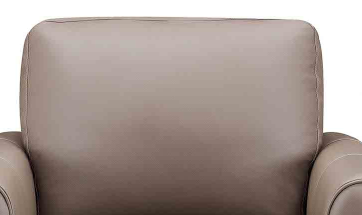 Hydeline Dawn Leather Upholstered Chair With Zip Cover