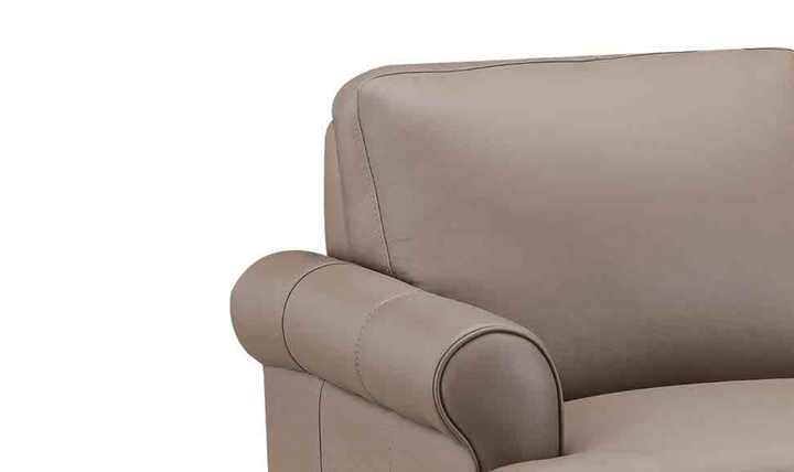 Hydeline Dawn Leather Upholstered Chair With Zip Cover