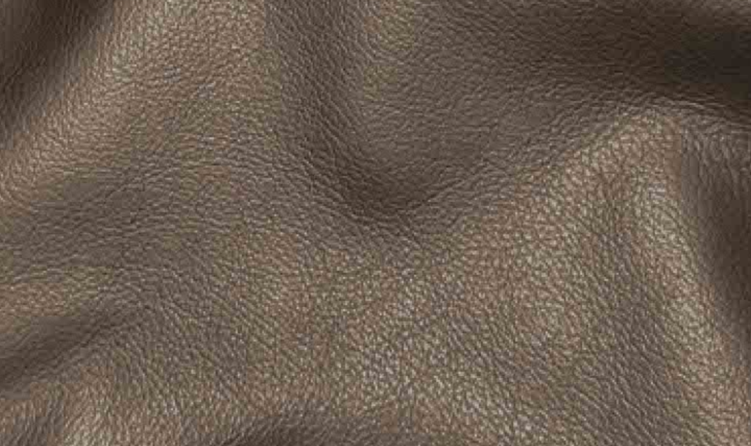 Hydeline Dawn Leather Upholstered Chair With Zip Cover