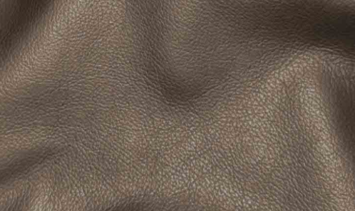Hydeline Dawn Leather Upholstered Chair With Zip Cover