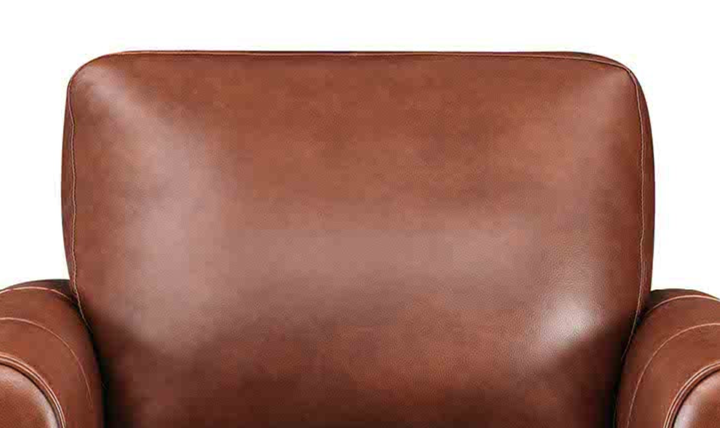 Hydeline Dawn Leather Upholstered Chair With Zip Cover - Jennifer Furniture
