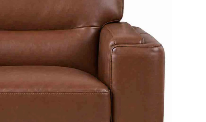 Hydeline Elm Leather Chair with Zip Cover & Removable Seat Cushions-Jenniferfurniture