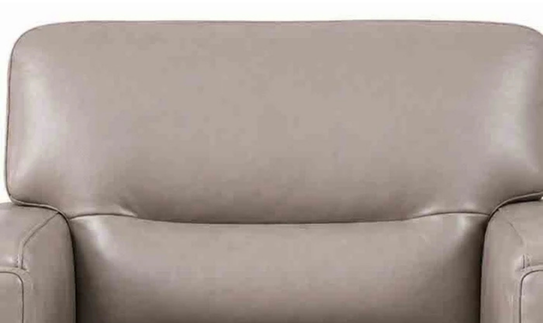 Hydeline Elm Leather Chair with Zip Cover & Removable Seat Cushions-Jenniferfurniture