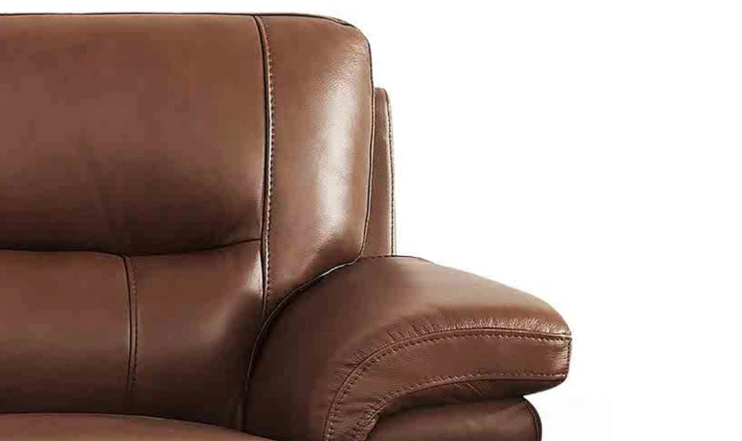 Hydeline Luxor Leather Loveseat With Cushioned Arms