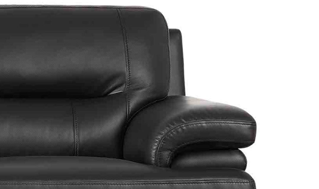 Hydeline Luxor Leather Loveseat With Cushioned Arms