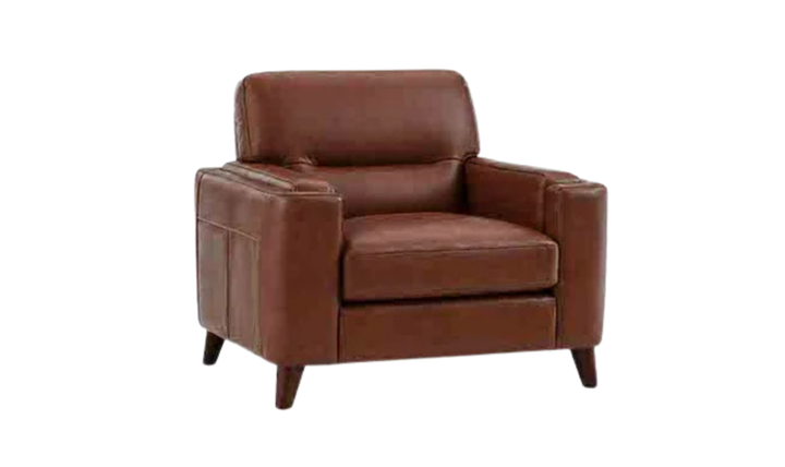 Hydeline Elm Leather Chair with Zip Cover & Removable Seat Cushions-Jenniferfurniture