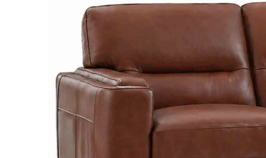Hydeline Elm Leather Loveseat With Zip Cover-JenniferFurniture