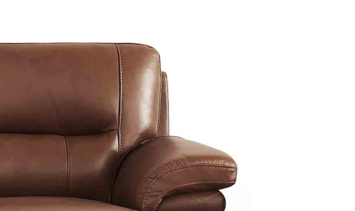 Hydeline Luxor Leather Sofa With Cushioned Arms