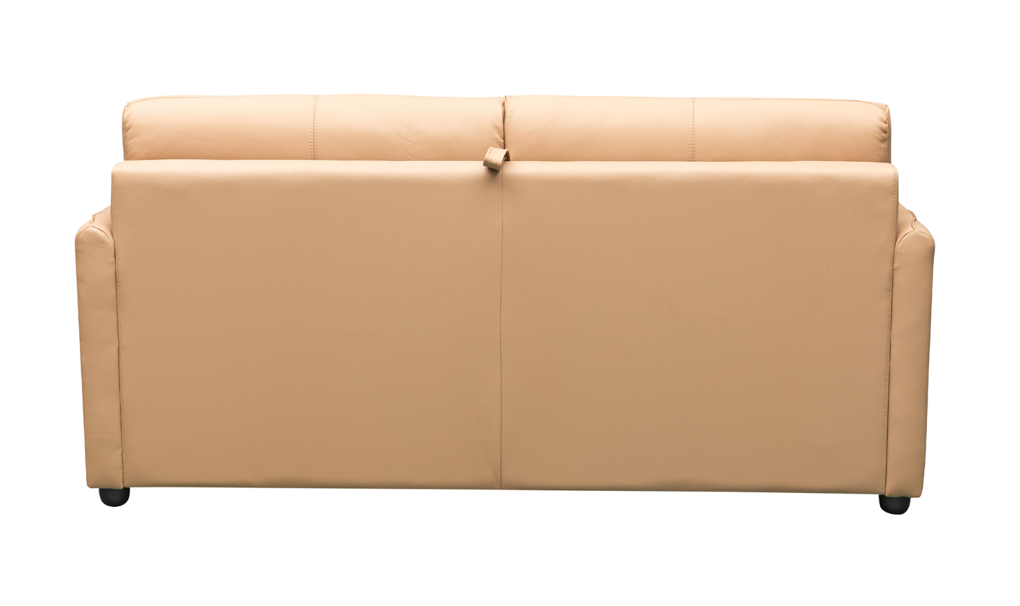 Jennifer Smart 2-Seater Leather Queen Sleeper Sofa